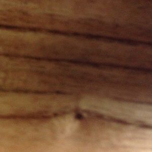 Meet your Posher, Paul