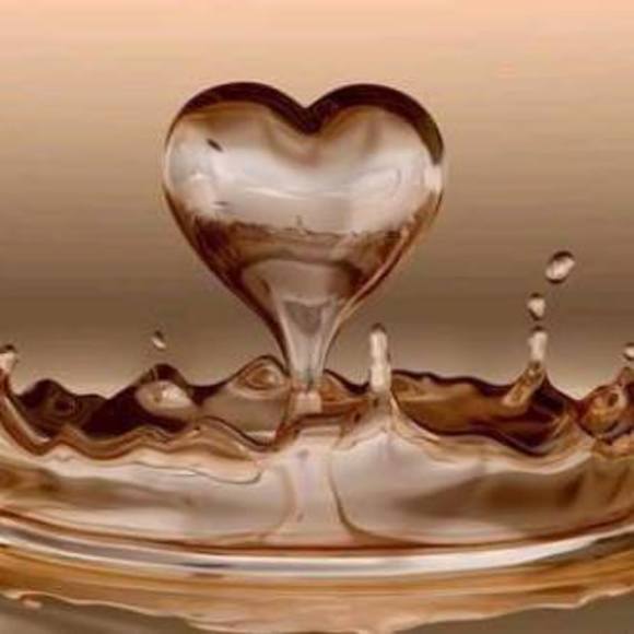 Meet your Posher, Ca - Picture 1 of 1