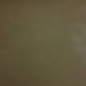 Meet your Posher, Priscilla