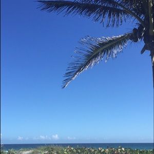 Meet your Posher, Mackenzie