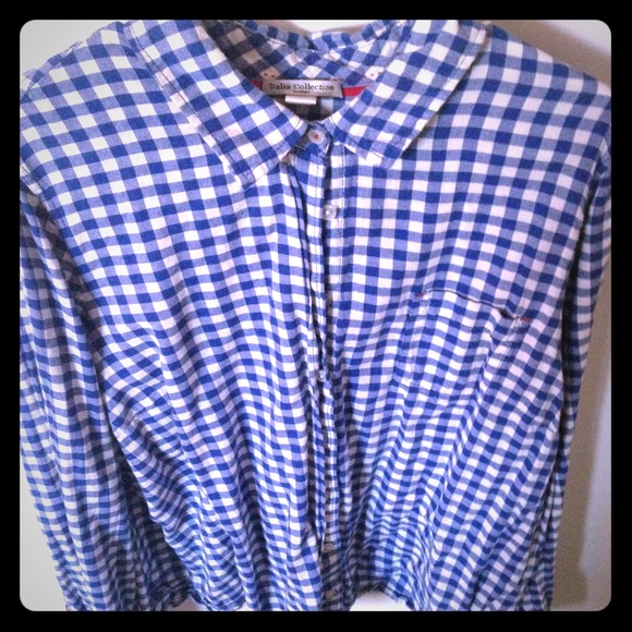 Plus-size Blue and White Check Button Down