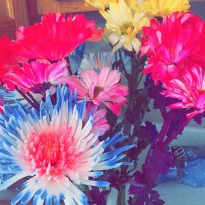 Meet your Posher, Ashlee