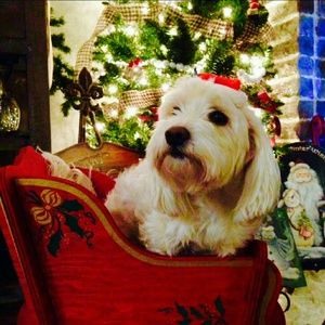 Meet your Posher, Sherri