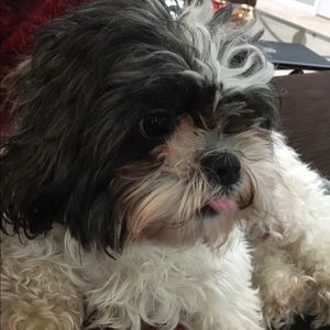 Meet your Posher, Maralynn