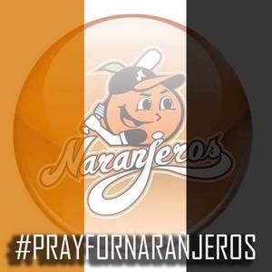 Meet your Posher, Irene