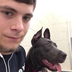 Meet your Posher, Hunter