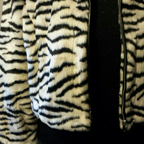 Jacket - Picture 2 of 4