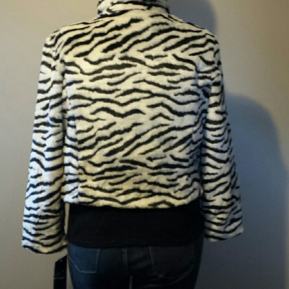 Jacket - Picture 4 of 4