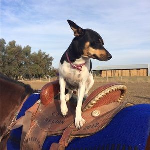 Meet your Posher, Courtney