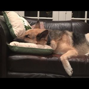 Meet your Posher, Christine