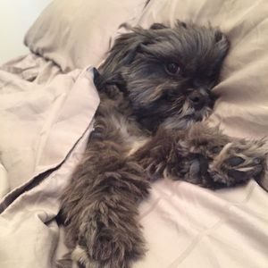 Meet your Posher, Marcela