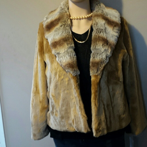 Jacket - Picture 2 of 4