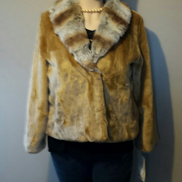 Jacket - Picture 3 of 4