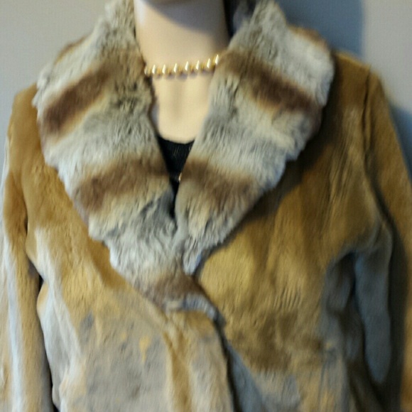 Jacket - Picture 4 of 4