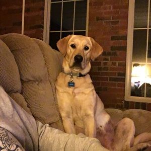 Meet your Posher, Jack