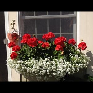 Meet your Posher, Cheri