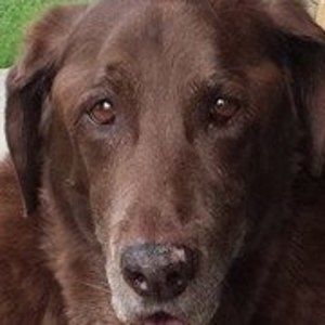 Meet your Posher, Bruce