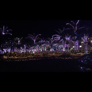 Meet your Posher, Devin