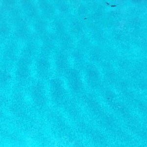 Meet your Posher, Kaila