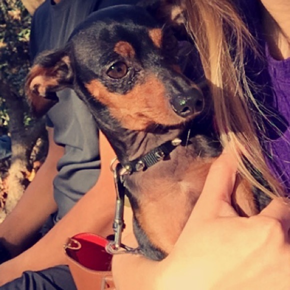 Meet your Posher, Ariel - Picture 1 of 1