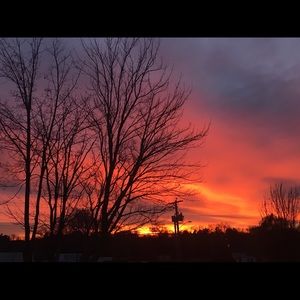 Meet your Posher, Vivian