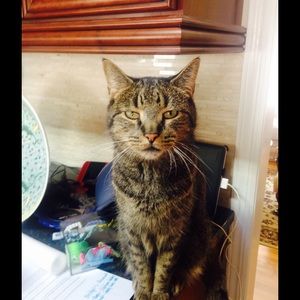 Meet your Posher, Karen