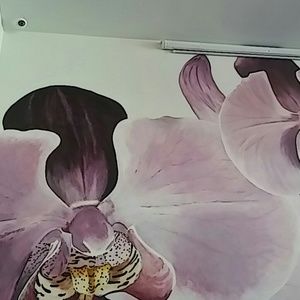 Meet your Posher, Neysa