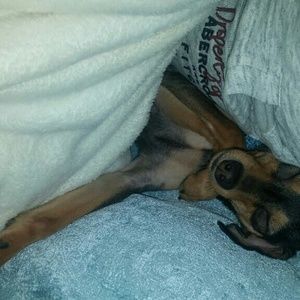 Meet your Posher, Brandy