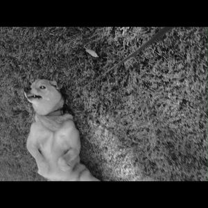 Meet your Posher, Sonia