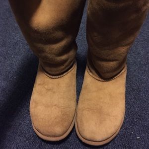 Tall Chestnut Uggs