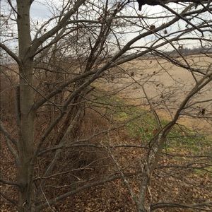 Meet your Posher, Jihn