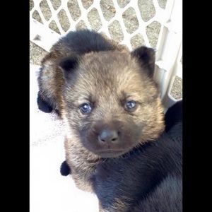 Meet your Posher, Nikki