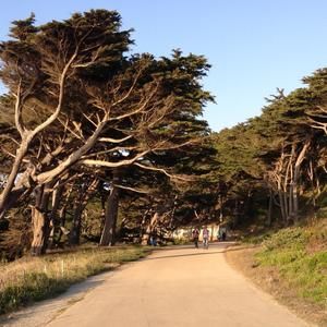 Meet your Posher, Tai