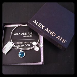 Alex and Ani Charm bracelet