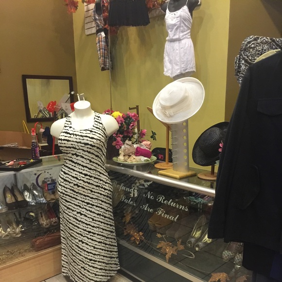 Meet your Posher, Lacha - Picture 2 of 8