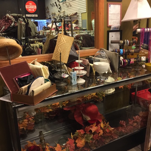 Meet your Posher, Lacha - Picture 8 of 8