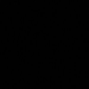 Meet your Posher, Latifah