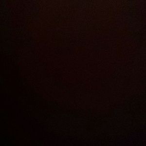 Meet your Posher, Savannah