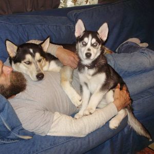 Meet your Posher, Lori