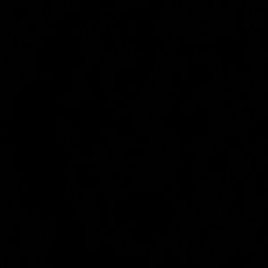 Meet your Posher, Dillon