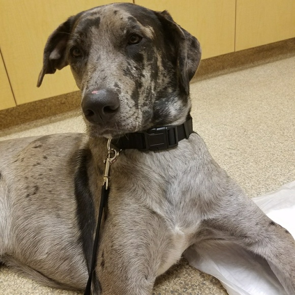 Meet your Posher, Melissa - Picture 3 of 8