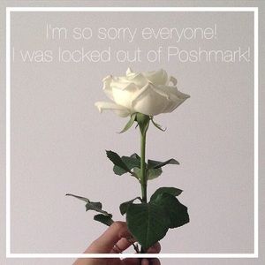 My apologies everyone!