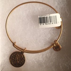 NWT Alex & Ani bracelet path of life