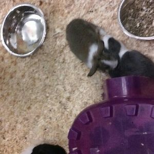 Meet your Posher, Alexis