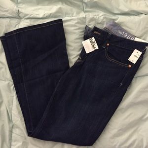 BRAND NEW Gap long and lean flare jeans (26 waist)