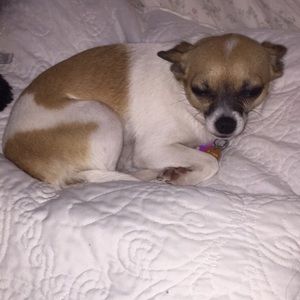 Meet your Posher, Chelsea