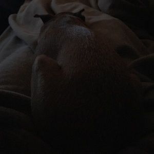 Meet your Posher, Adam