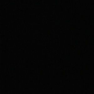 Meet your Posher, Ella