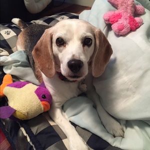 Meet your Posher, Kim