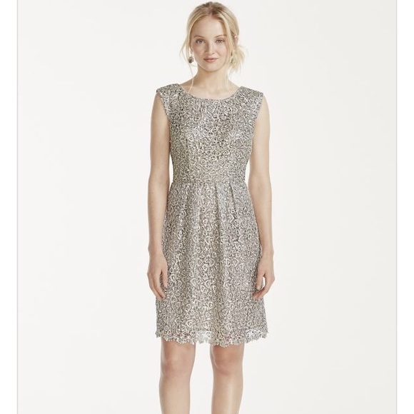 NWT Short Cap Sleeve Lurex Lace cocktail Dress!